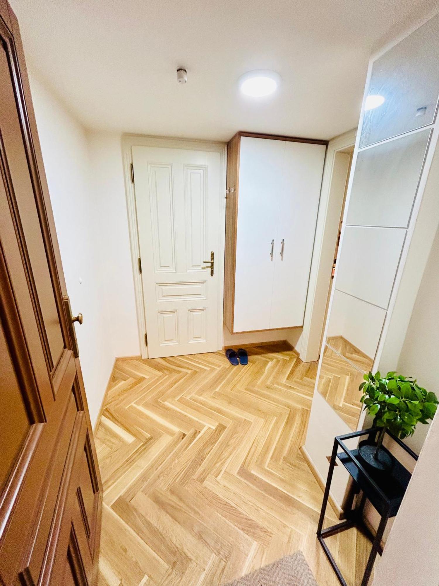 Cozy Design Homestay With Terrace 布拉格 外观 照片
